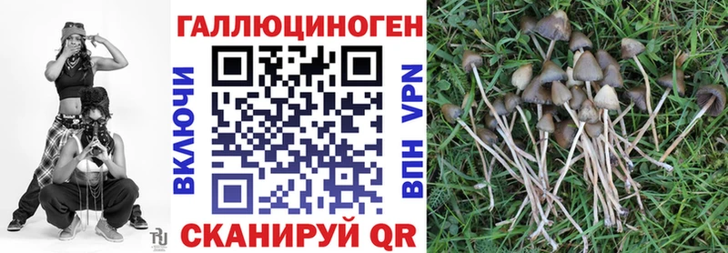 Галлюциногенные грибы мухоморы  что такое   Новое Девяткино 